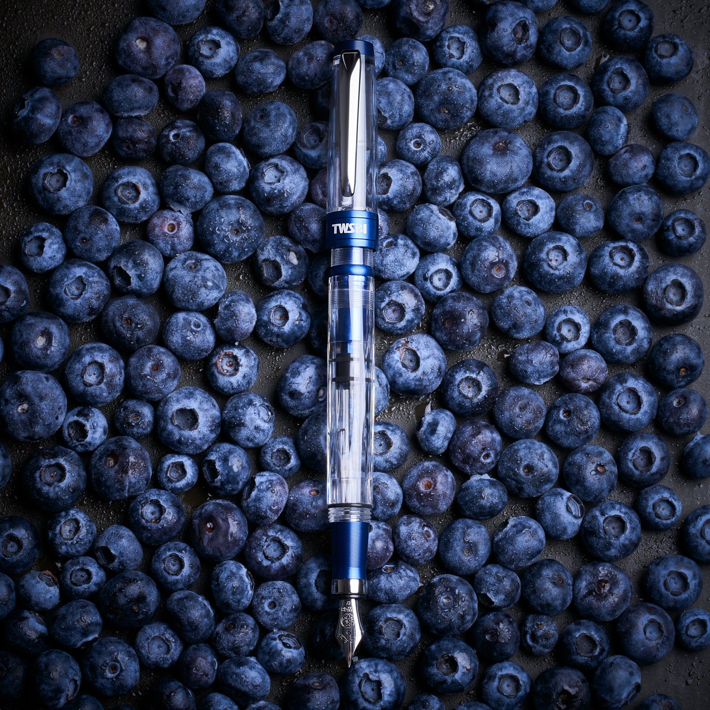 TWSBI 三文堂鋼筆 / 鑽石 580 AL R / 海軍藍